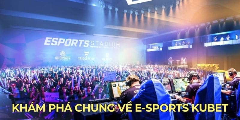 Cá cược Esports thu hút sự quan tâm của nhiều người chơi