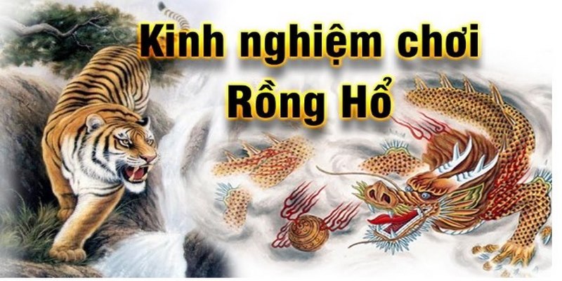 Áp dụng chiến thuật chơi rồng hổ thắng lớn